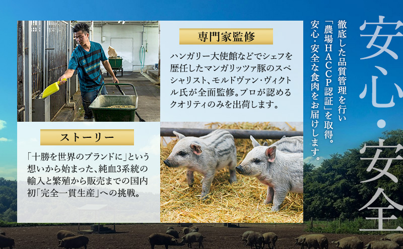 【メディアで多数紹介】 国宝・十勝ロイヤルマンガリッツァ豚 塩しゃぶしゃぶ ロース400g 北海道 幕別町 【 豚肉 豚 しゃぶしゃぶ 塩 湖塩 冷凍 生 】 お肉 牛肉 牛肉/しゃぶしゃぶ  丸勝十勝ヒルズ