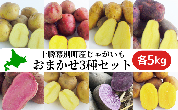 十勝 幕別町産 じゃがいも15kg おまかせ3種(各5kg)【渡邉農場】 [2026年11月出荷開始]【 野菜 いも イモ 芋 じゃがいも ジャガイモ 北海道 十勝 幕別 】