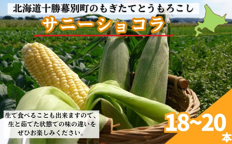 ［2024年出荷先行予約］もぎたてとうもろこし黄色18～20本【十勝幕別 北海道ホープランド農場】