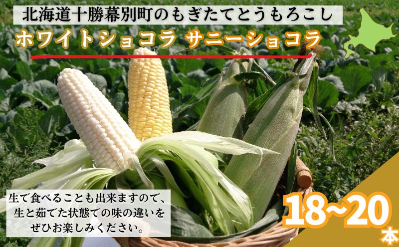 ［2024年出荷先行予約］もぎたてとうもろこし黄・白セット18～20本【十勝幕別 北海道ホープランド農場】