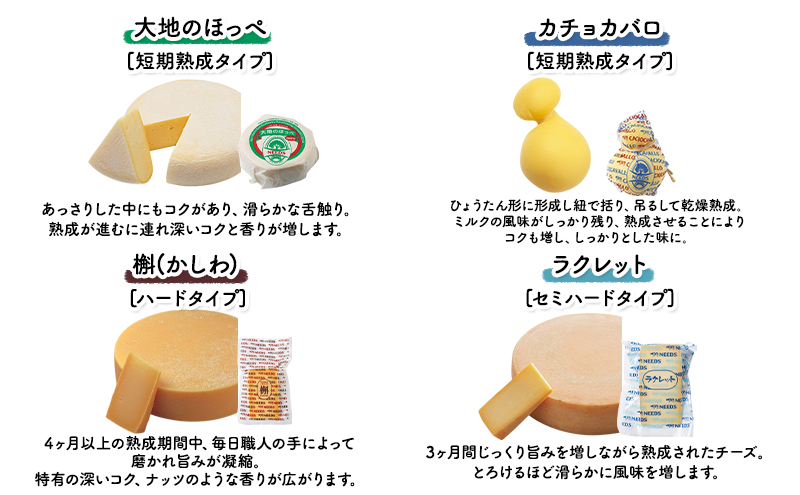 北海道 十勝 チーズアソート11種 / プレミアム食べ比べセット [チーズ工房NEEDS]【 チーズ アソート 詰合せ セット バラエティ 槲 かしわ ラクレット モッツァレラ 大地のほっぺ さけるチーズ ジャム ミルクジャム NEEDS ニーズ 食べ比べ】