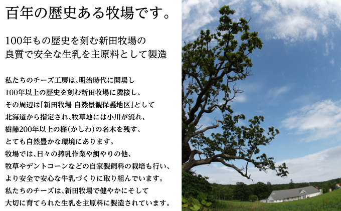 NEEDSオリジナル お酒のおつまみにおすすめ4種のチーズセット【十勝幕別町】北海道 十勝 チーズ ミルク