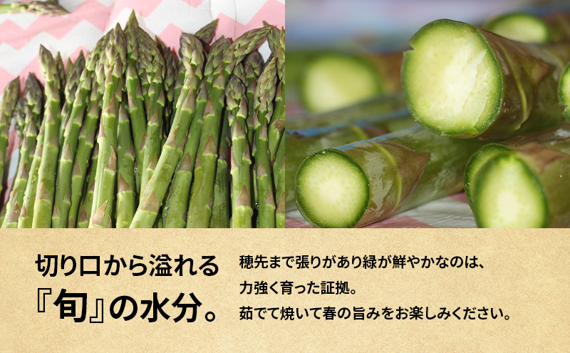 十勝幕別町産 グリーンアスパラ1kg M～2L混合［山田敏明牧場］【2027年5月出荷開始】 北海道 野菜 アスパラガス 