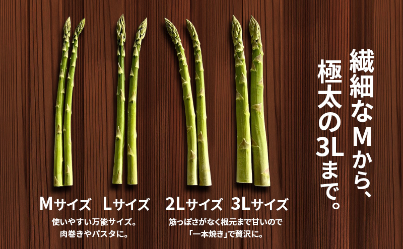 十勝幕別町産 グリーンアスパラ1kg M～2L混合［山田敏明牧場］【2027年5月出荷開始】 北海道 野菜 アスパラガス 