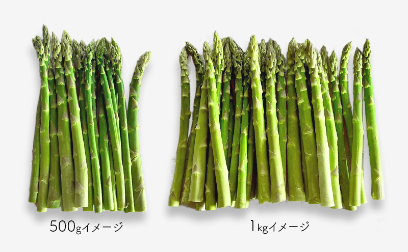 十勝幕別町産 グリーンアスパラ1kg M～2L混合［山田敏明牧場］【2027年5月出荷開始】 北海道 野菜 アスパラガス 