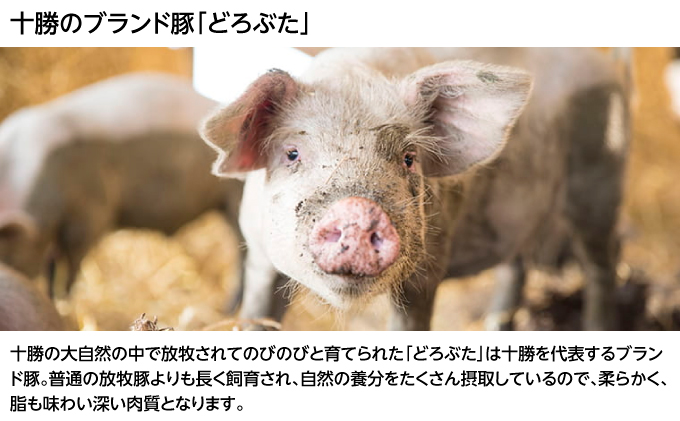 北海道十勝のメンチカツとコロッケ2種 70g×12個（どろぶたメンチカツ・黒毛和牛コロッケ）各6個［木川商店］【 加工品 惣菜 冷凍 お肉 豚肉 牛肉 レンジ お手軽 簡単 北海道 十勝 幕別  】 