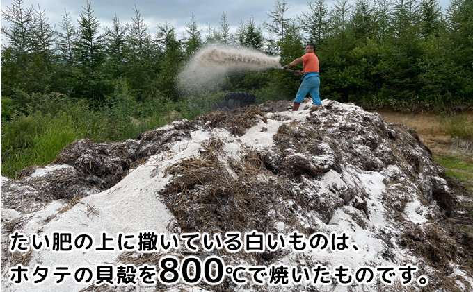 北海道 十勝 幕別産 じゃがいも メークイン 約10kg【横山農園】[2024年9月下旬出荷開始]