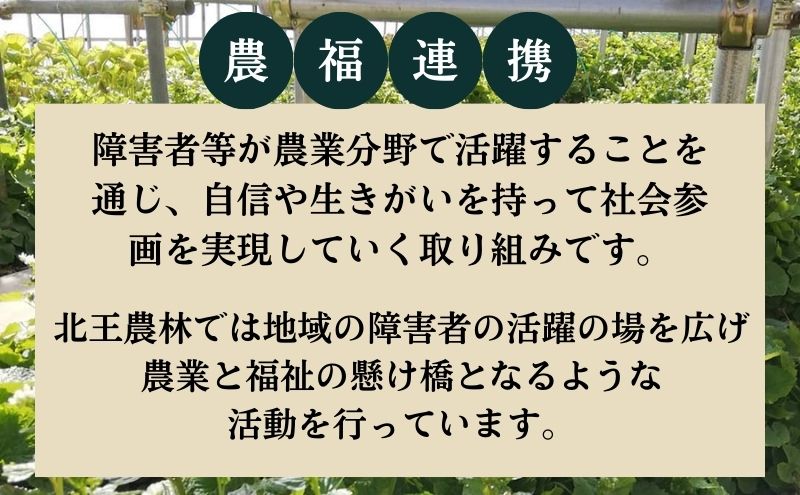 【農福連携】北海道十勝幕別町のこだわり秋野菜　小セット