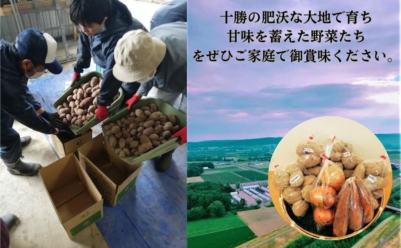 【農福連携】北海道十勝幕別町のこだわり秋野菜　小セット