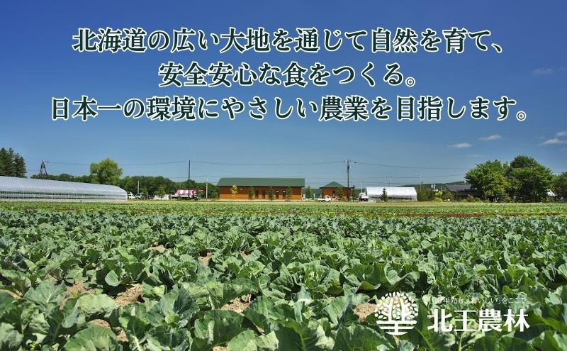 【農福連携】北海道十勝幕別町のこだわり秋野菜　中セット