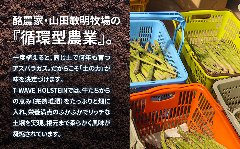 十勝幕別町産 グリーンアスパラ2kg 極太L～3L混合［山田敏明牧場］【2026年5月出荷開始】  北海道 野菜 アスパラガス