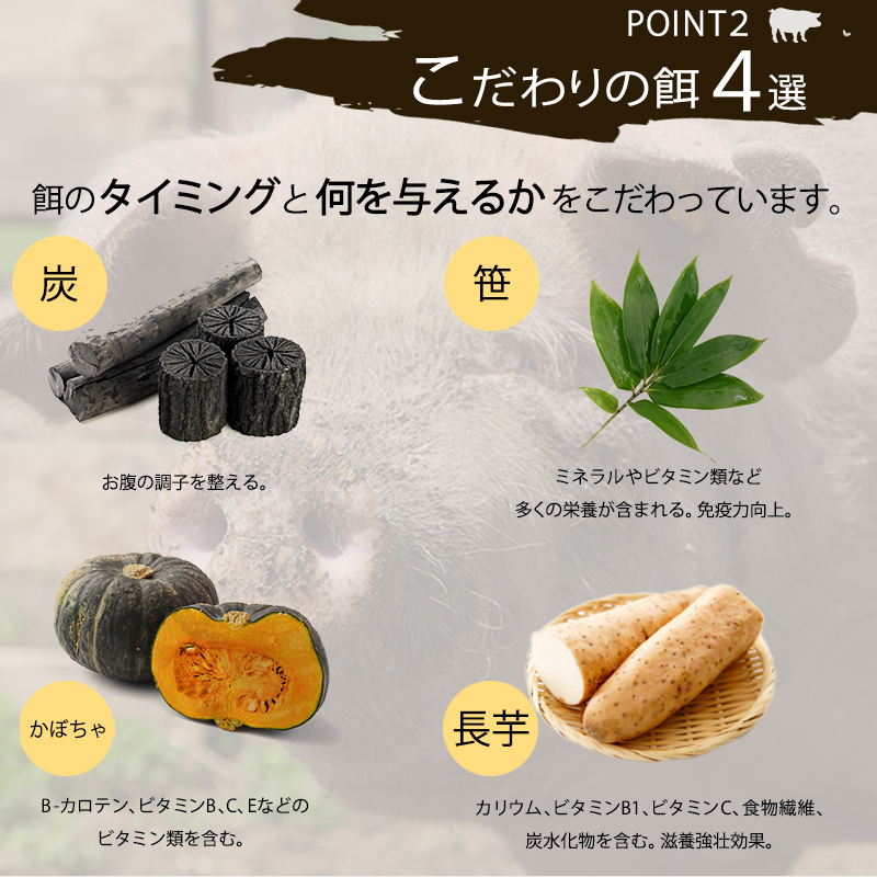 十勝幕別産ブランド放牧豚［どろぶた］煮込みハンバーグ200g×2　北海道 エルパソ 放牧豚