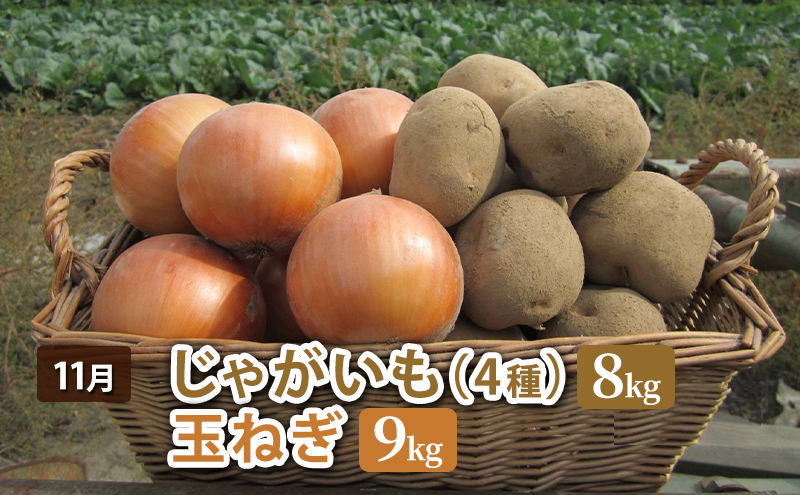 十勝幕別 北の畑のオーナーさん 人気の旬野菜 年3回定期便［2026年5月出荷開始］北海道ホープランド農場 【 アスパラ とうもろこし コーン じゃがいも ジャガイモ 玉ねぎ 野菜 定期便 】