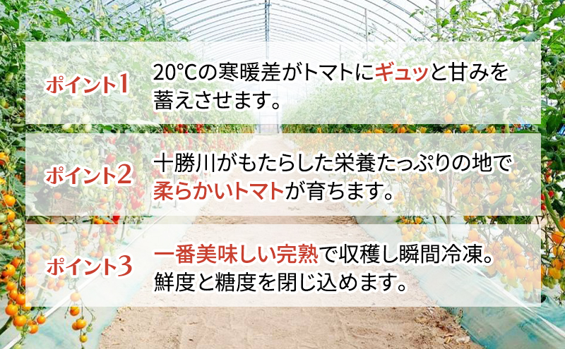 糖度平均9～10度！十勝 幕別産 ミニトマトジュース「自慢のトマトでつくりました。」赤1,000ml×1本・黄180ml×4本 セット［北海道ホープランド農場］食塩無添加【 トマト ミニトマト 飲料 野菜ジュース リコピン 北海道 十勝 幕別 】