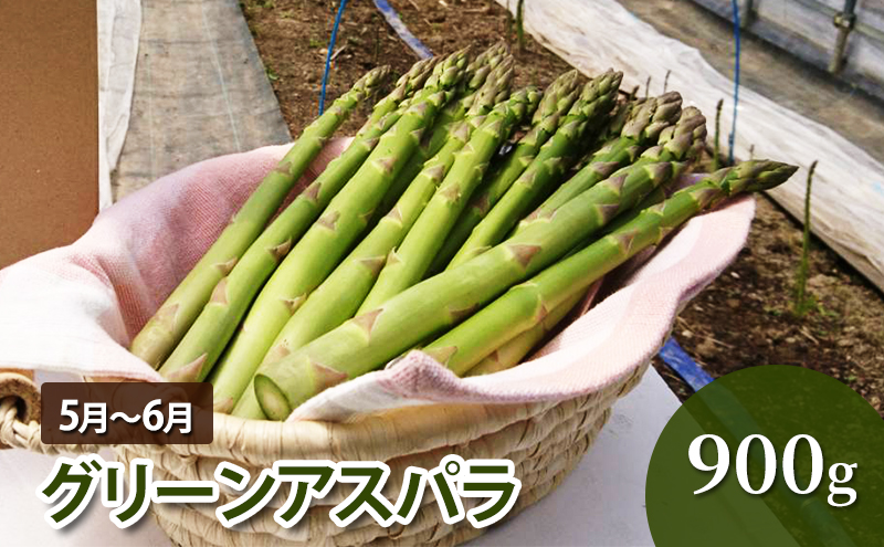 十勝幕別 北の畑のオーナーさん 人気の旬野菜 年3回定期便［2025年5月出荷開始］北海道ホープランド農場 【 アスパラ とうもろこし コーン じゃがいも ジャガイモ 玉ねぎ 野菜 定期便 】