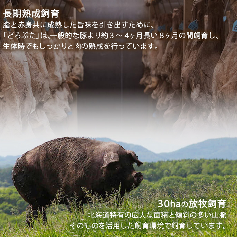 十勝幕別産ブランド放牧豚［どろぶた］ハンバーグ2種セット【 北海道 豚肉 ハンバーグ 惣菜 おかず ジャンボ 】 