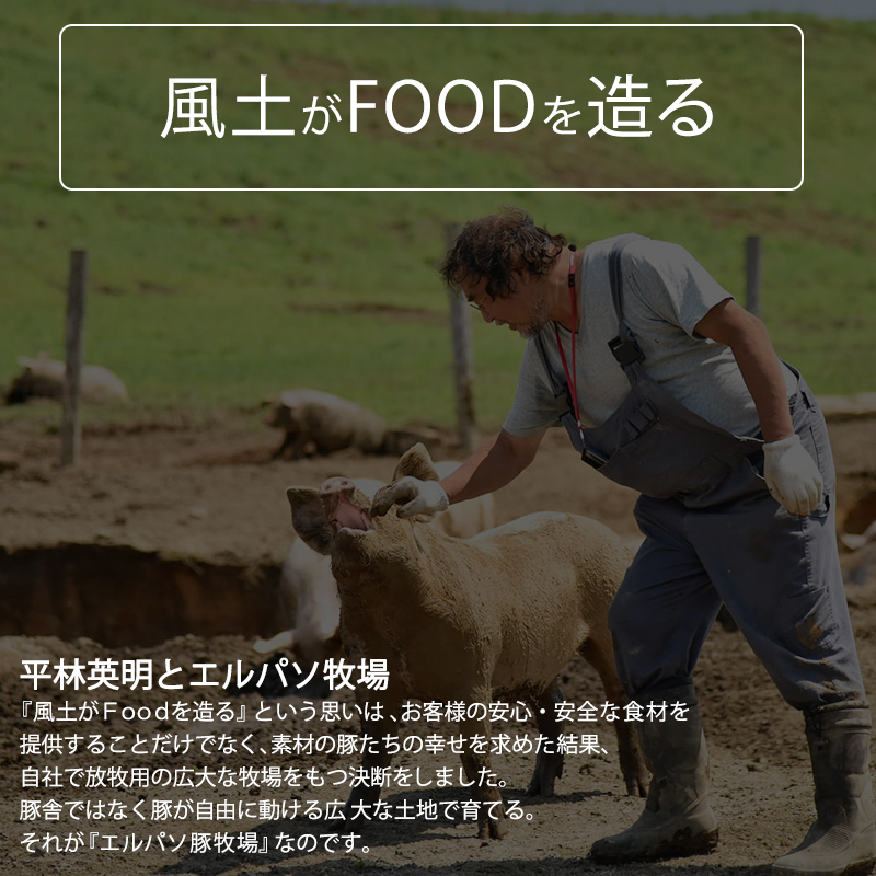 十勝幕別産ブランド放牧豚［どろぶた］豚丼ジンギスカンセット【 北海道 豚肉 味付き惣菜 おかず 】 