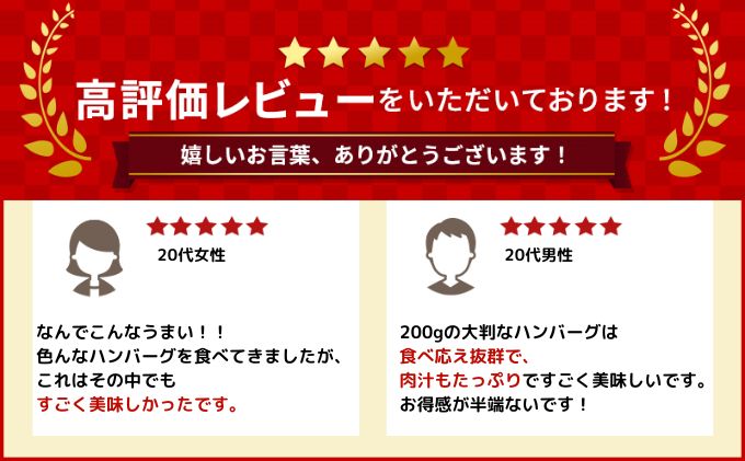 北海道 十勝牛 手ごねハンバーグ 200g×5個 【セット 牛100% 国産牛 牛肉 ハンバーグ 惣菜 小分け 冷凍 牛肉100% 大きい 国産 北海道 十勝 幕別 ふるさと納税 送料無料 】