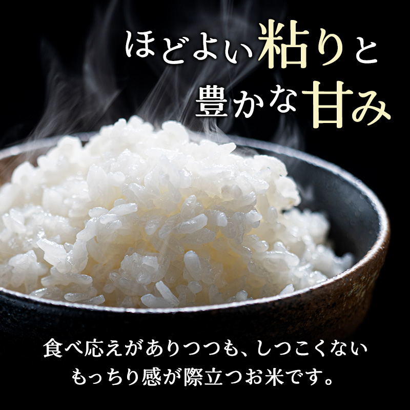 北海道産 ゆめぴりか 10kg［令和6年産］【 精米 米 白米 ご飯 お米 ごはん 国産 ブランド米 おにぎり ふっくら 常温 送料無料 】