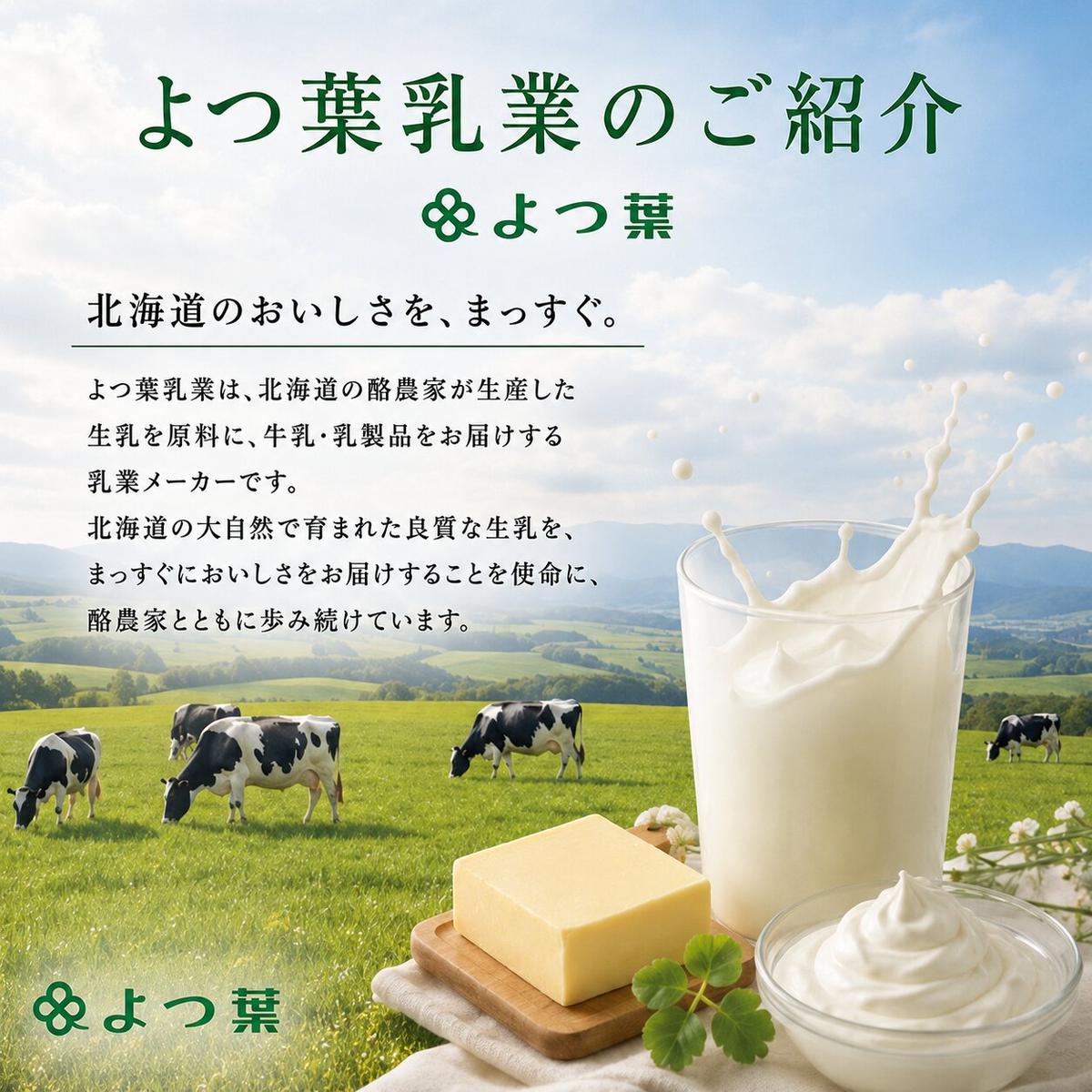 定期便 3ヵ月連続 全3回 よつ葉 「北海道 十勝シュレッドチーズ[要加熱]」3kg【 よつ葉 美味しい チーズ グラタン ピザ 大容量 業務用 北海道 十勝 幕別 】