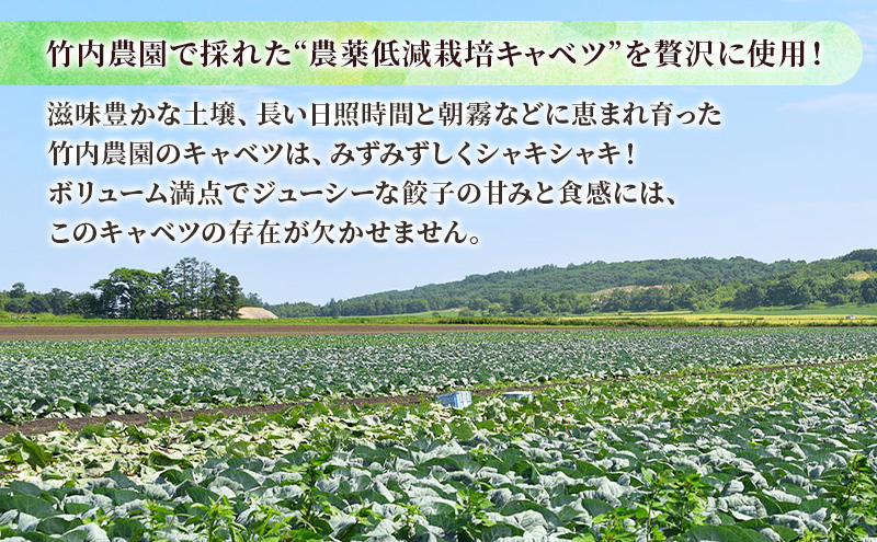 ボリューム満点 手作り冷凍餃子 15個（2～3人前）×1袋［錦華園］【 野菜 キャベツ たっぷり 厚い 手包み 手作り もちもち モチモチ 汁 町中華 中華 北海道 十勝 幕別 】