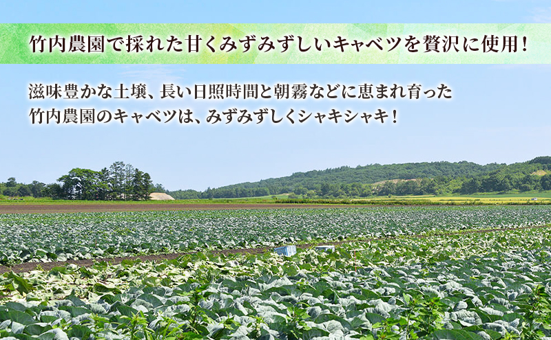 ボリューム満点 手作り冷凍餃子 30個（4～6人前）(15個×2袋)［錦華園］【 野菜 キャベツ たっぷり 厚い 手包み 手作り もちもち モチモチ 汁 町中華 中華 北海道 十勝 幕別 】