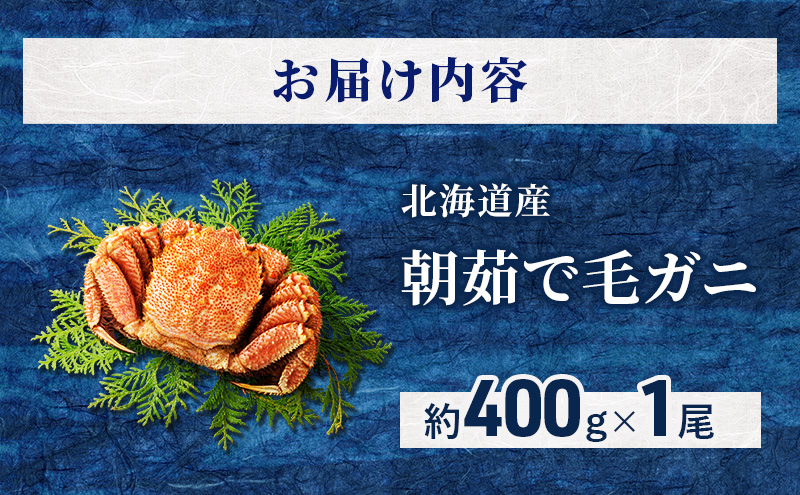 ［冷蔵便］茹でたて直送！北海道産 朝茹で毛ガニ 約400g×1尾【 かに カニ 蟹 毛蟹 毛ガニ 海鮮 魚介 海の幸 海産物 冷蔵 北海道 十勝 幕別 】
