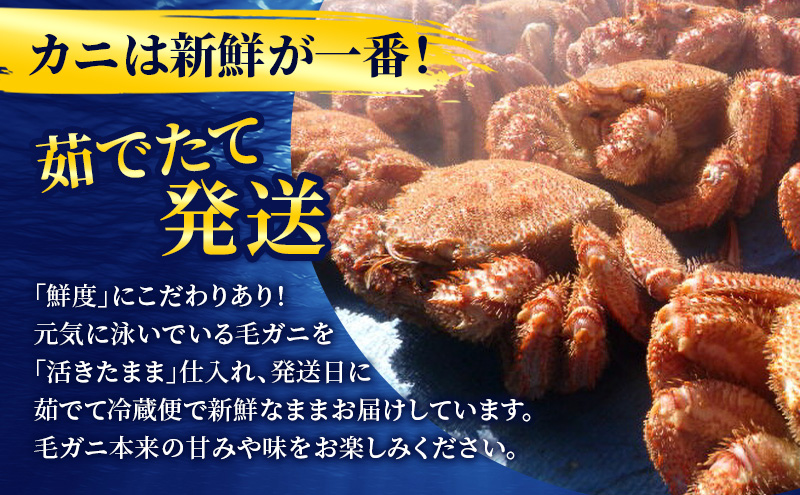 ［冷蔵便］茹でたて直送！北海道産 朝茹で毛ガニ 約400g×2尾【 かに カニ 蟹 毛蟹 毛ガニ 海鮮 魚介 海の幸 海産物 冷蔵 北海道 十勝 幕別 】