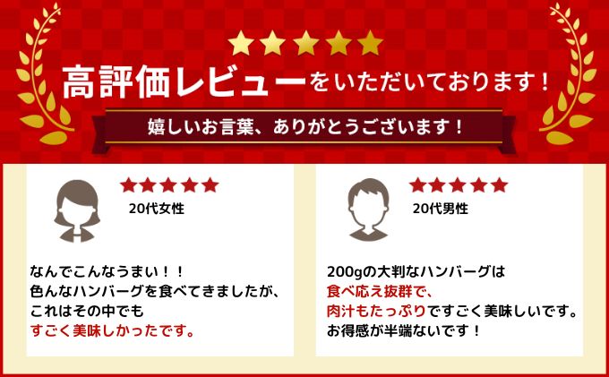 [大人気ハンバーグの定期便] 全2回/2ヶ月毎 合計20個 北海道 十勝牛 手ごねハンバーグ 200g×10個【 セット 牛100% 国産牛 牛肉 ハンバーグ パティ パテ 惣菜 小分け 冷凍 大きい 国産 北海道 十勝 幕別 ふるさと納税 送料無料 】