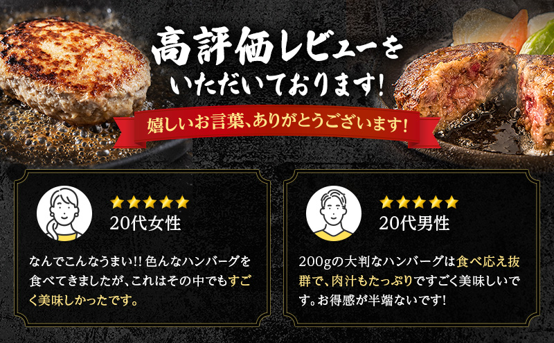 [大人気ハンバーグの定期便] 全2回/2ヶ月毎 合計20個 北海道 十勝牛 手ごねハンバーグ 200g×10個【 セット 牛100% 国産牛 牛肉 ハンバーグ パティ パテ 惣菜 小分け 冷凍 大きい 国産 北海道 十勝 幕別 ふるさと納税 送料無料 】
