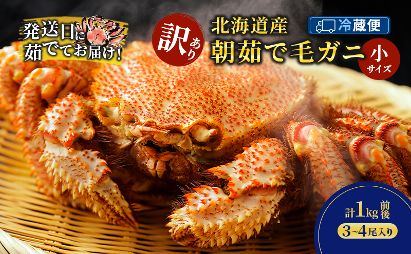 ［冷蔵便］茹でたて直送！【訳あり】北海道産 朝茹で 毛ガニ 小サイズ 計1kg前後（3-4尾入り）【 かに カニ 蟹 毛ガニ 毛蟹 海鮮 魚介 海の幸 海産物 家庭用 冷蔵 北海道 十勝 幕別 】