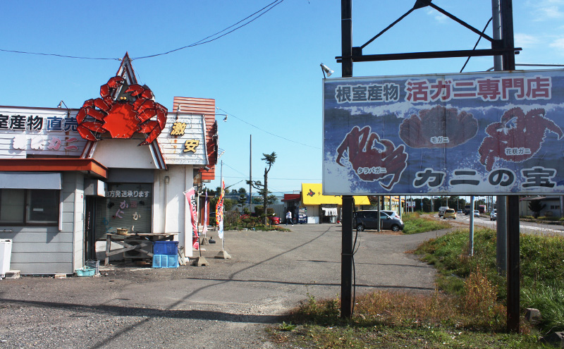 ［冷蔵便］茹でたて直送！【訳あり】北海道産 朝茹で 毛ガニ 小サイズ 計1kg前後（3-4尾入り）【 かに カニ 蟹 毛ガニ 毛蟹 海鮮 魚介 海の幸 海産物 家庭用 冷蔵 北海道 十勝 幕別 】