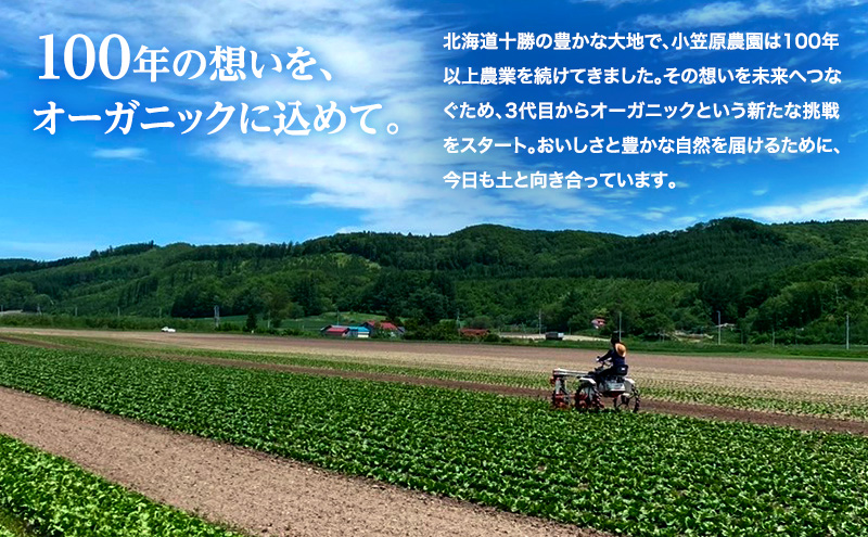 小笠原農園の有機じゃがいも「とうや」12kg 北海道 十勝 幕別《2026年秋出荷先行予約》【 野菜 芋 じゃがいも とうや 】 