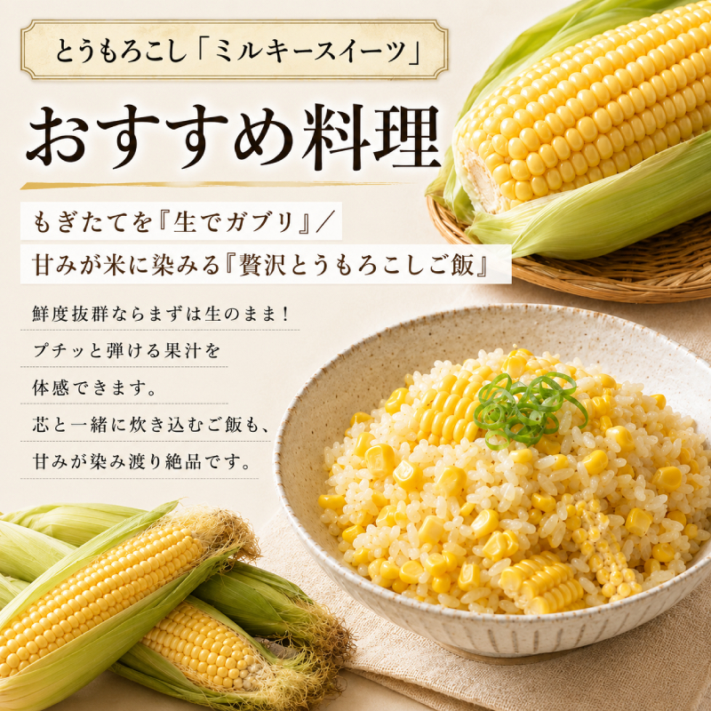 小笠原農園の有機とうもろこし「ミルキースイーツ」10本【北海道十勝幕別】《2026年8月出荷開始先行予約》【 スイートコーン コーン とうもろこし とうきび 黄色 野菜 夏 北海道 幕別町 】 