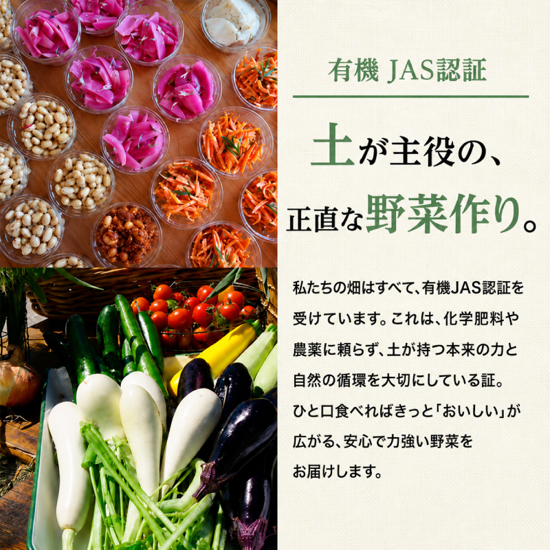 小笠原農園の有機リーキ2kg【北海道十勝幕別】《2026年秋より順次出荷》【 野菜 ねぎ ネギ 葱 長ネギ 長ねぎ リーキ 西洋ねぎ ポロネギ 北海道 幕別町 】