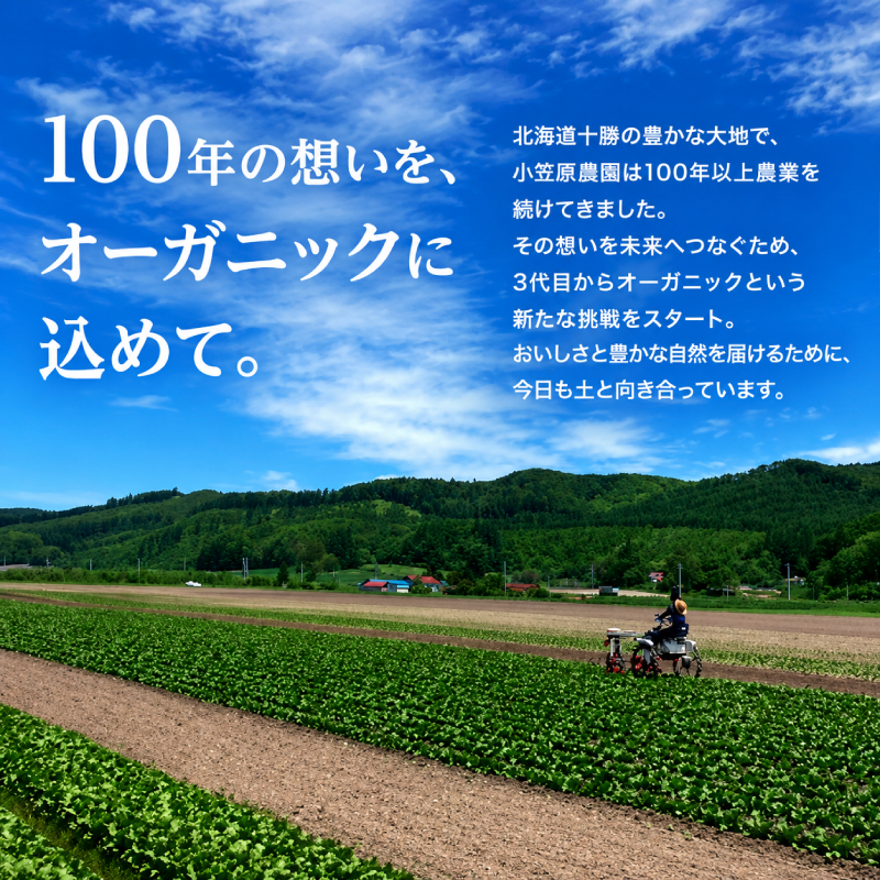 小笠原農園の有機野菜 2種詰合せ（とうや2kg・リーキ1kg）北海道 十勝 幕別《2026年秋出荷先行予約》【 野菜 芋 じゃがいも とうや ねぎ ネギ リーキ セット 】