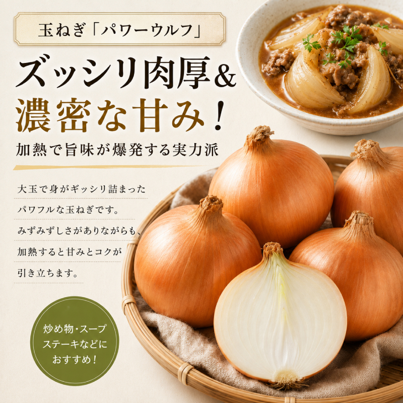 小笠原農園の有機野菜 2種詰合せ（玉ねぎ2kg・リーキ1kg）北海道 十勝 幕別《2026年秋出荷先行予約》【 野菜 玉ねぎ たまねぎ ねぎ ネギ リーキ セット 】