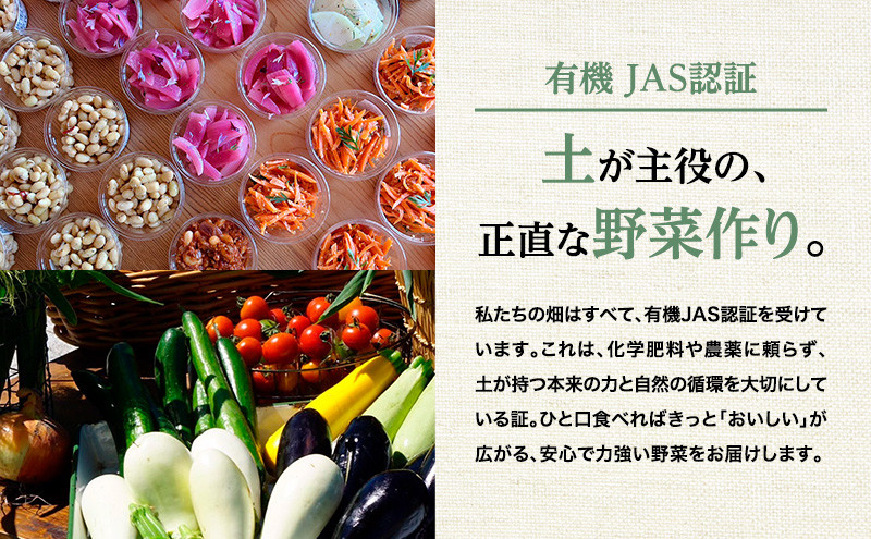 小笠原農園の有機野菜 3種詰合せ（とうや2kg・北海こがね2kg・玉ねぎ2kg）北海道 十勝 幕別《2026年秋出荷先行予約》【 野菜 芋 じゃがいも とうや 北海こがね 玉ねぎ たまねぎ セット 】