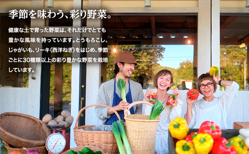 小笠原農園の有機野菜 定期便 夏「とうもろこし」ミルキースイーツ10本・秋「じゃがいも2種」とうや2kg・北海こがね2kg・玉ねぎ2kg《2026年8月出荷開始》北海道 十勝 幕別【 スイートコーン 芋 セット 野菜 】