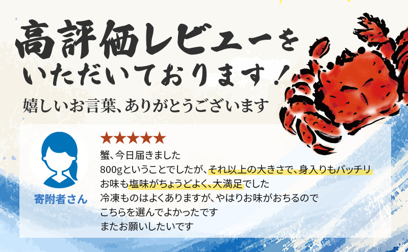 ［冷蔵便］茹でたて直送！北海道産 朝茹で毛ガニ 約400g×1尾【 かに カニ 蟹 毛蟹 毛ガニ 海鮮 魚介 海の幸 海産物 冷蔵 北海道 十勝 幕別 】