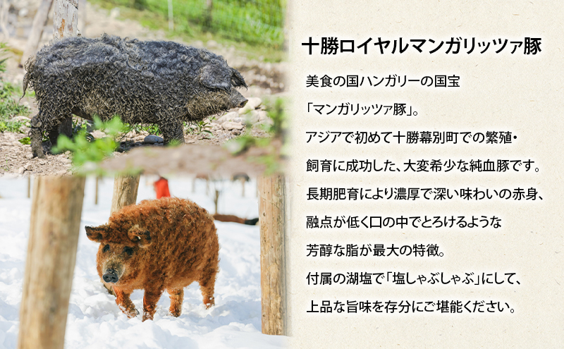 北海道 十勝 幕別のブランド放牧豚 食べ比べ定期便 [豪華満喫/全3回]マンガリッツァ豚・遊ぶた・どろぶた【 豚 豚肉 ブランド 放牧 しゃぶしゃぶ 焼肉 ハンバーグ ソーセージ 厚切り スライス ロース バラ 冷凍 モモ ロース 詰合せ 幕別 】