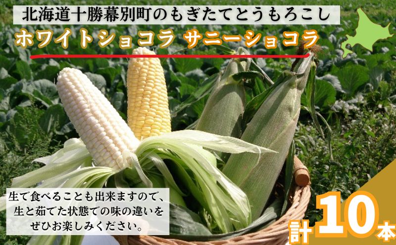 ［2024年出荷先行予約］もぎたてとうもろこし黄・白セット　計10本【十勝幕別 北海道ホープランド農場】