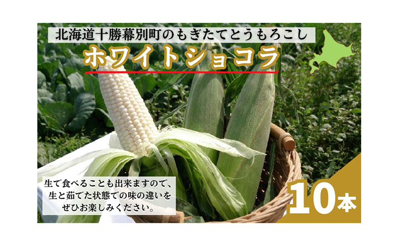 ［先行予約/2026年］もぎたてとうもろこし白10本 [北海道ホープランド農場]【 とうきび トウモロコシ とうもろこし 野菜 夏野菜 フルーツ 北海道 十勝 幕別 】 