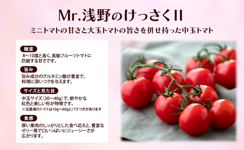 訳あり 北海道 十勝の太陽を浴びたプレミアムトマト 「Mr.浅野のけっさく2」2.5kg ［中村農場］【 訳あり トマト フルーツトマト 中玉トマト ミディトマト 高糖度 甘い 濃厚 寒暖差 野菜 こだわり 農家直送 北海道 十勝 幕別 】