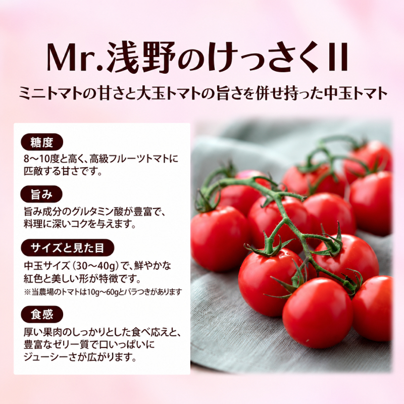 訳あり 北海道 十勝の太陽を浴びたプレミアムトマト 「Mr.浅野のけっさく2」2.5kg ［中村農場］【 訳あり トマト フルーツトマト 中玉トマト ミディトマト 高糖度 甘い 濃厚 寒暖差 野菜 こだわり 農家直送 北海道 十勝 幕別 】