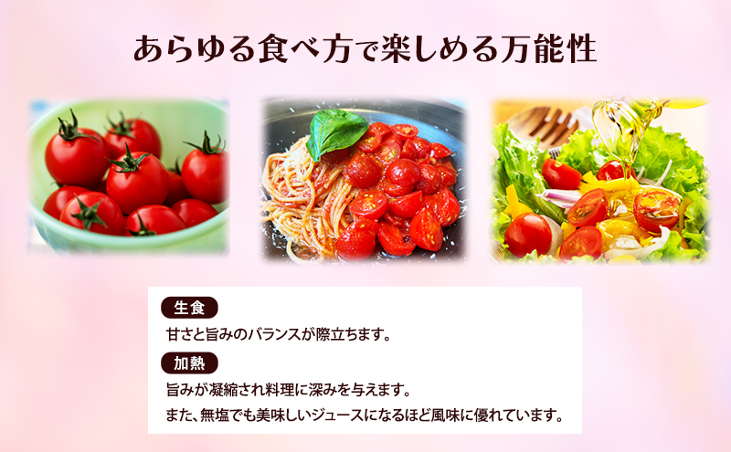 訳あり 北海道 十勝の太陽を浴びたプレミアムトマト 「Mr.浅野のけっさく2」2.5kg ［中村農場］【 訳あり トマト フルーツトマト 中玉トマト ミディトマト 高糖度 甘い 濃厚 寒暖差 野菜 こだわり 農家直送 北海道 十勝 幕別 】