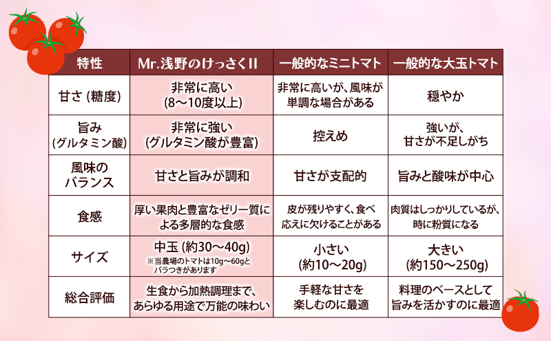 訳あり 北海道 十勝の太陽を浴びたプレミアムトマト 「Mr.浅野のけっさく2」2.5kg ［中村農場］【 訳あり トマト フルーツトマト 中玉トマト ミディトマト 高糖度 甘い 濃厚 寒暖差 野菜 こだわり 農家直送 北海道 十勝 幕別 】