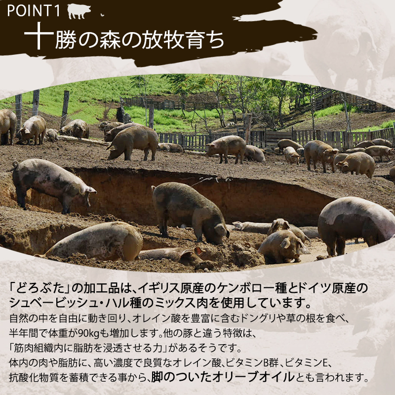 十勝幕別産ブランド放牧豚［どろぶた］白サラミ 5本【 北海道 豚肉 ウィンナー ハム サラミ 惣菜 おかず 】