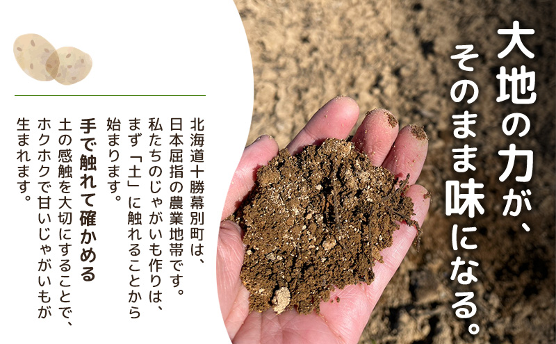 先行予約/2026年秋発送 北海道 十勝 幕別産 じゃがいも さやか 約10kg 【横山農園】 野菜 根菜 食材 しっとり 崩れにくい 煮込み料理 炒め物 肉じゃが カレー シチュー 北海道のジャガイモ