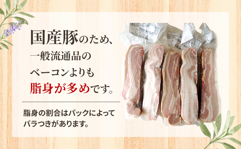 十勝の無添加豚 ベーコンブロック 1.5kg［うらがみミート］ 無塩せき 保存料・結着剤不使用【 ベーコン 肉 豚 国産 惣菜 おつまみ 料理 燻製 加工品 北海道 十勝 幕別 】